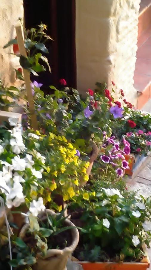 Le Antiche Mura Irsina Экстерьер фото